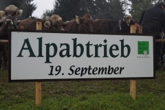 Viehabtrieb