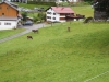 kooistra 6728
