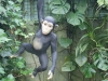 SONY DSC