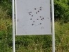 kooistra 6142