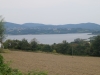 kooistra 7536