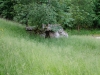 Kooistra 7033