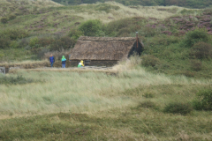 Texel