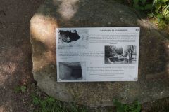 Kooistra-10541