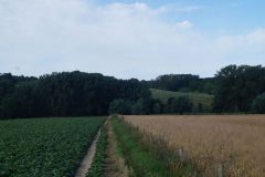 Kooistra-10554