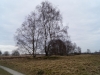 Kooistra5308