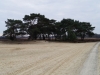 Kooistra5313
