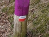 Kooistra5320