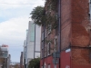 DSC300