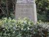DSC380