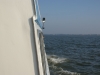 SONY DSC