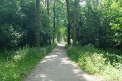Kooistra-10512