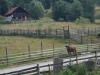kooistra 5578