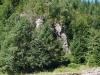 kooistra 5589