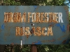 kooistra 5598