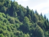 kooistra 5600