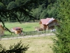 kooistra 5615