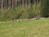 kooistra 7646