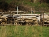 kooistra 7648