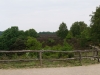 kooistra 5455