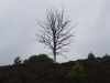 kooistra 5478