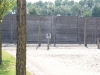 kooistra 7665