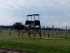 kooistra 7675