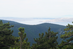 Senj