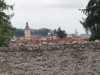 kooistra 5803