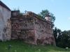 kooistra 5833