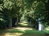 kooistra 7754