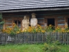 kooistra 7786