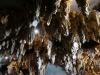 Kooistra 7288