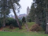 DSC355