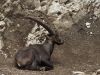 Kooistra-8581