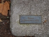 DSC470