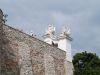 Kooistra-8668