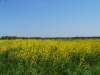 Kooistra5376