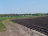 Kooistra5377