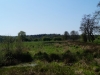 Kooistra5386