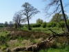 Kooistra5387