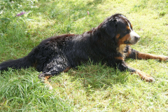 01 rondje meer