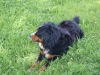 SONY DSC