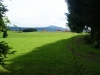 SONY DSC
