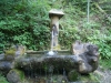 SONY DSC