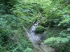 SONY DSC
