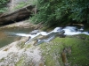 SONY DSC
