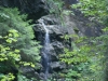 SONY DSC