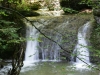 SONY DSC