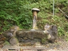 SONY DSC